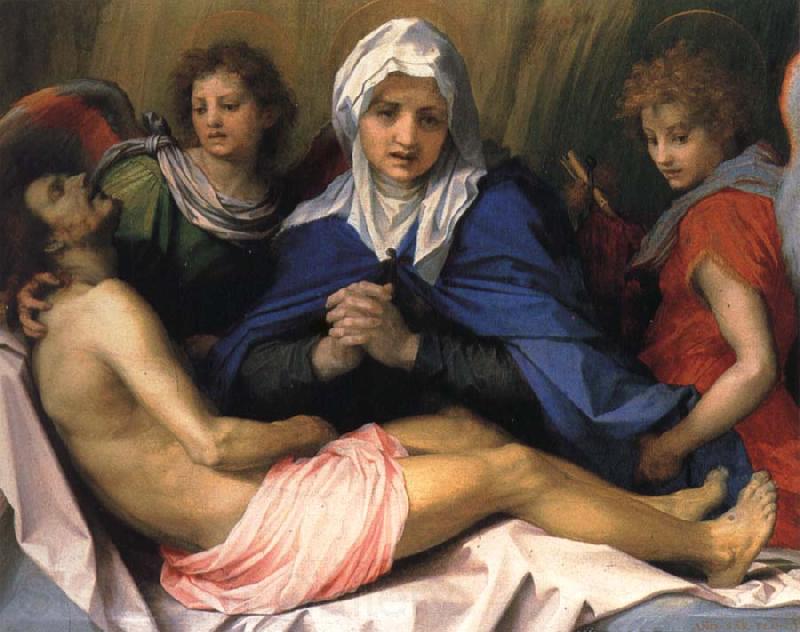 Andrea del Sarto Lamentation of Christ France oil painting art
